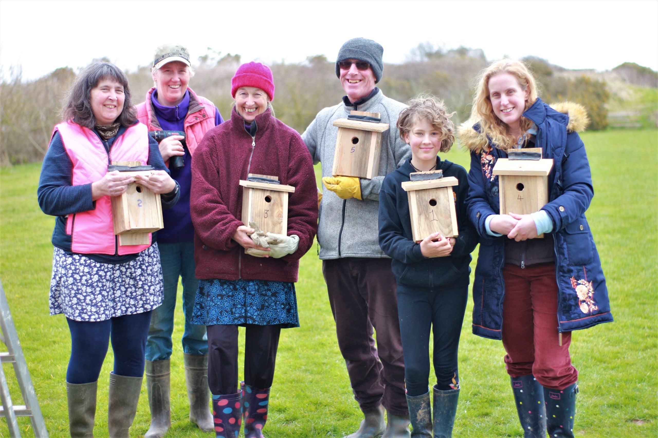 volunteer wooden bird boxes